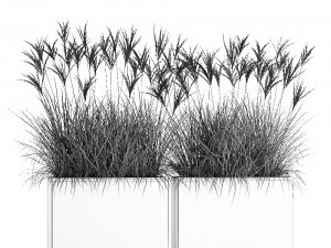 reeds in a rusty flower pot for the interior 933 3D 모델