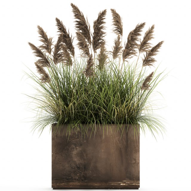 reeds in a rusty flower pot for the interior 934 Modello 3D .c4d .max .obj .3ds .fbx .stl .blend