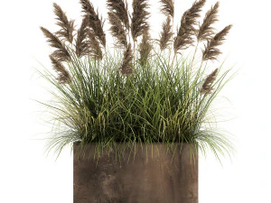 juncos em um vaso de flores enferrujado para o interior 934 Modelo 3D