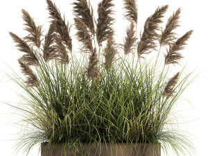 reeds in a rusty flower pot for the interior 934 Model 3D