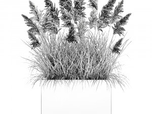 reeds in a rusty flower pot for the interior 934 Model 3D
