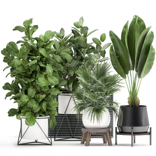 houseplants in a flowerpot for the interior 935 Modello 3D .c4d .max .obj .3ds .fbx .stl .blend 