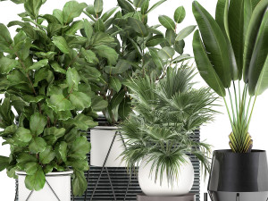 houseplants in a flowerpot for the interior 935 Modello 3D
