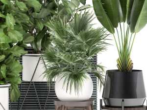 houseplants in a flowerpot for the interior 935 Modello 3D