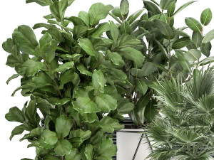 houseplants in a flowerpot for the interior 935 Modello 3D