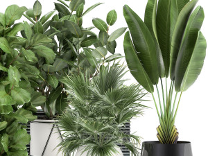 houseplants in a flowerpot for the interior 935 Modello 3D