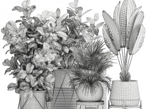 houseplants in a flowerpot for the interior 935 Modello 3D