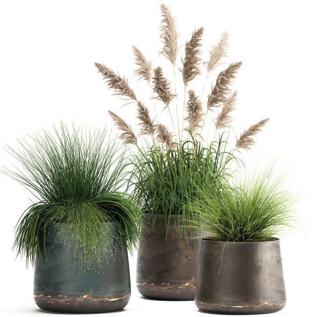 reeds in a rusty flower pot for the interior 936 3Dモデル .c4d .max .obj .3ds .fbx .stl .blend 