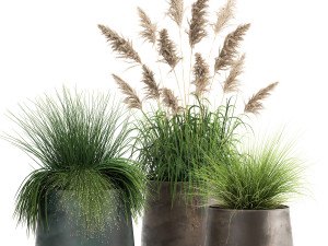 reeds in a rusty flower pot for the interior 936 3D Model