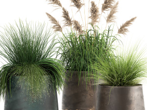 reeds in a rusty flower pot for the interior 936 3Dモデル