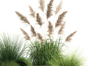 reeds in a rusty flower pot for the interior 936 3D Model