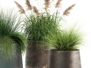 reeds in a rusty flower pot for the interior 936 3D Model