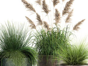 reeds in a rusty flower pot for the interior 936 3D Model