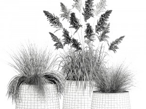 reeds in a rusty flower pot for the interior 936 3Dモデル