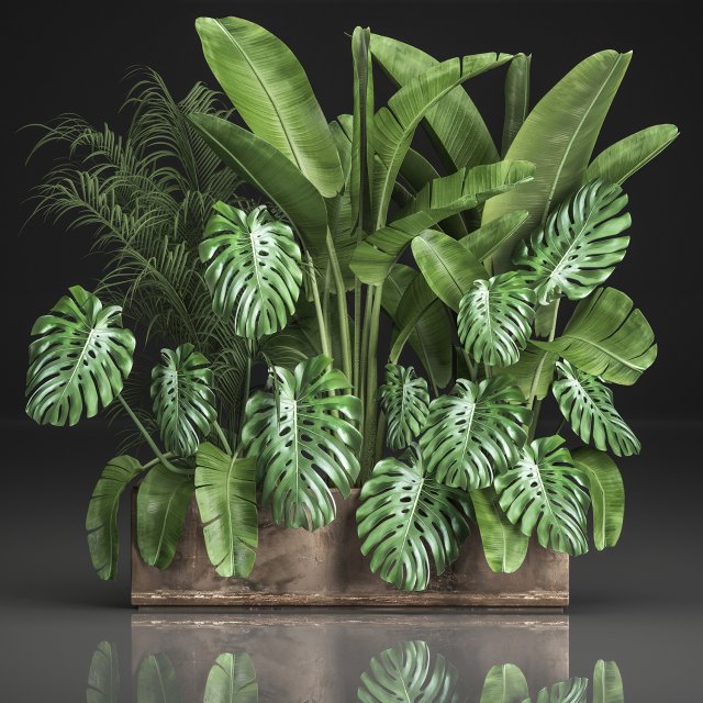 houseplants in a flowerpot for the interior 937 3D 모델 .c4d .max .obj .3ds .fbx .stl .blend 