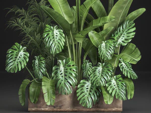 kamerplanten in bloempot voor interieur 937 3D Model