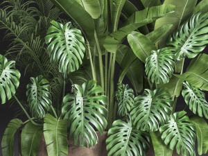 houseplants in a flowerpot for the interior 937 3D 모델