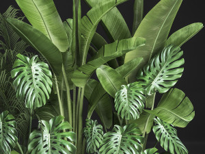 houseplants in a flowerpot for the interior 937 3D 모델