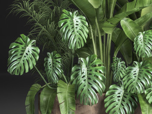 houseplants in a flowerpot for the interior 937 3D 모델