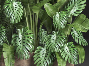 houseplants in a flowerpot for the interior 937 3D 모델