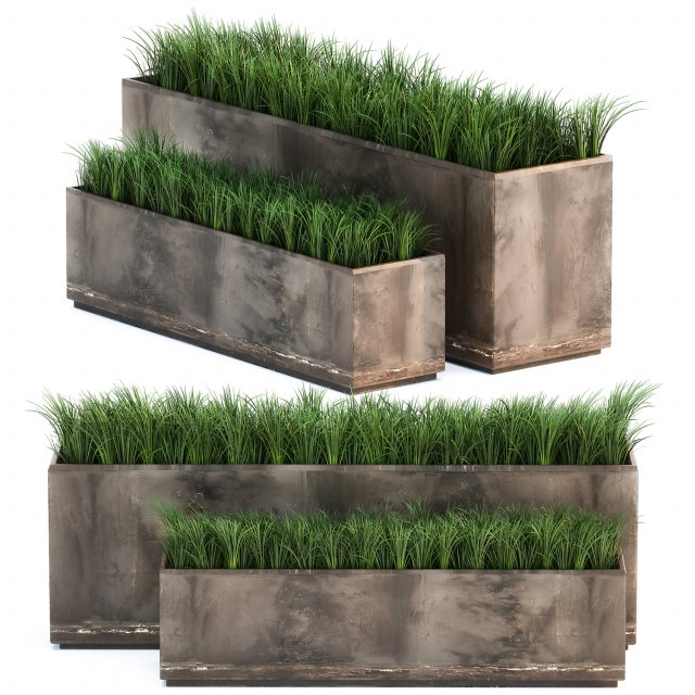 ornamental grass in a rusty flower pot for the interior 939 3D Model .c4d .max .obj .3ds .fbx .stl .blend 