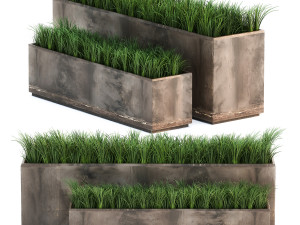 ornamental grass in a rusty flower pot for the interior 939 3D Model