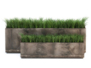 ornamental grass in a rusty flower pot for the interior 939 3D Model