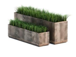 ornamental grass in a rusty flower pot for the interior 939 3D Model