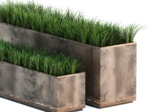 ornamental grass in a rusty flower pot for the interior 939 3D Model