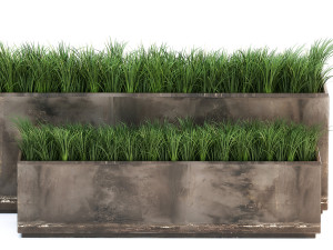ornamental grass in a rusty flower pot for the interior 939 3D Model