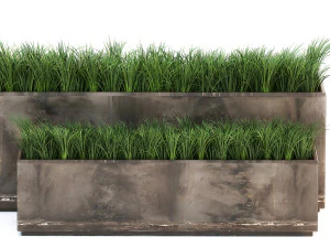 ornamental grass in a rusty flower pot for the interior 939 3D Model