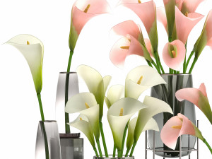 calla flower bouquet in a vase 114 3D Model