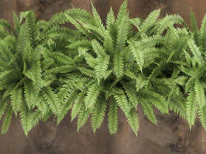 Hierba ornamental en una maceta oxidada para el interior 940. Modelo 3D