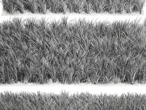 ornamental grass 941 Modelo 3D