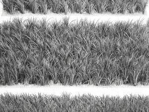 ornamental grass 941 3D Model