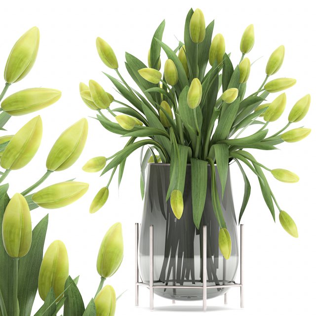 bouquet of green tulips in a vase 116 3D Model .c4d .max .obj .3ds .fbx .stl .blend 