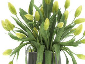 bouquet of green tulips in a vase 116 3D Model