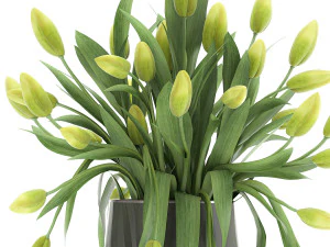 bouquet of green tulips in a vase 116 3D Model