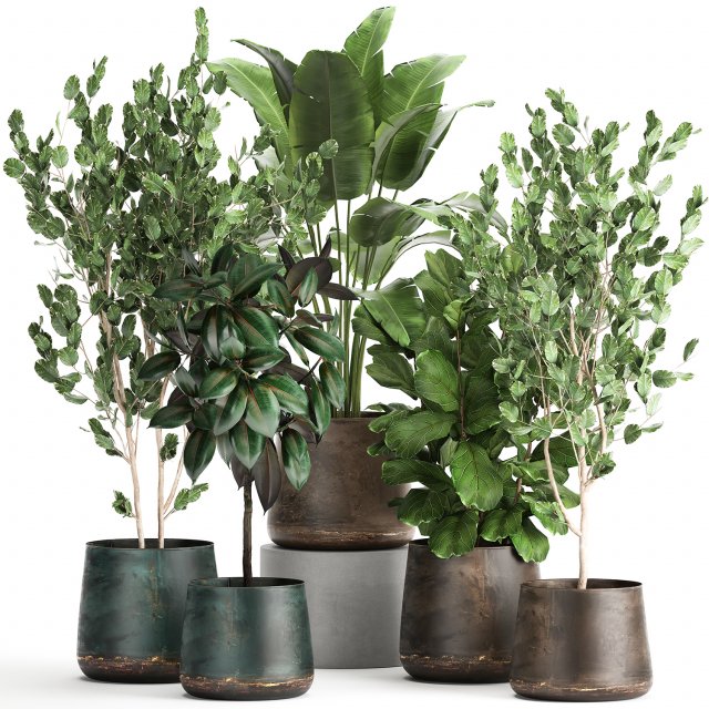 houseplants in a flowerpot for the interior 942 3D Модель .c4d .max .obj .3ds .fbx .stl .blend 