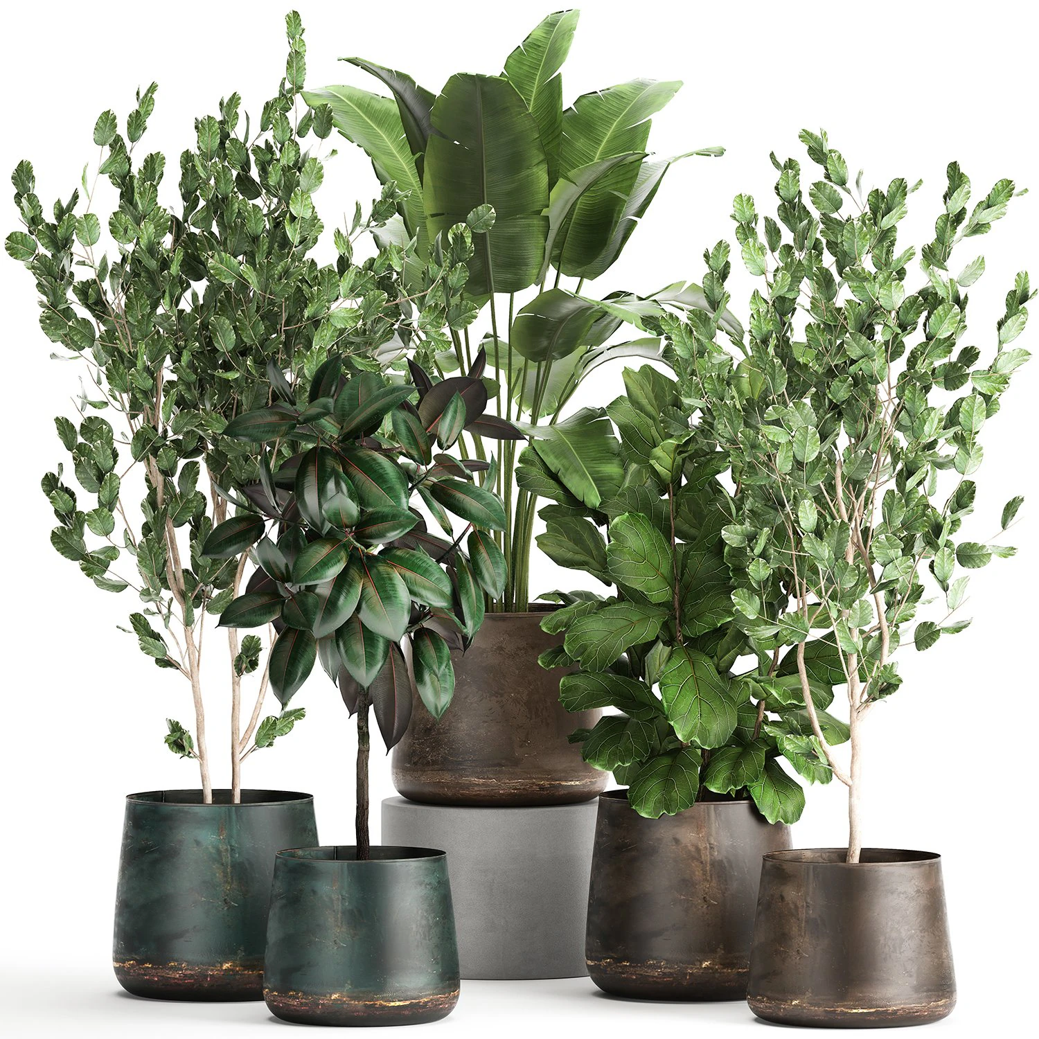 houseplants in a flowerpot for the interior 942 3D Model .c4d .max .obj .3ds .fbx .stl .blend 