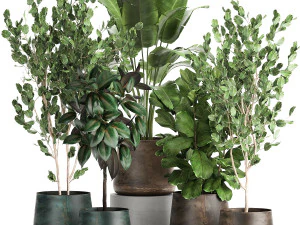 इंटीरियर के लिए फ्लावरपॉट में हाउसप्लांट 942 3D मॉडल