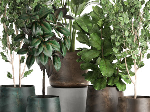 houseplants in a flowerpot for the interior 942 3D Модель