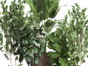 houseplants in a flowerpot for the interior 942 3D Модель
