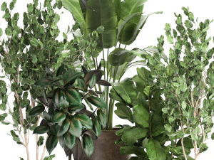 houseplants in a flowerpot for the interior 942 3D Model