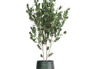 houseplants in a flowerpot for the interior 942 3D Model