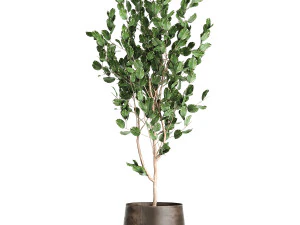 houseplants in a flowerpot for the interior 942 3D Model