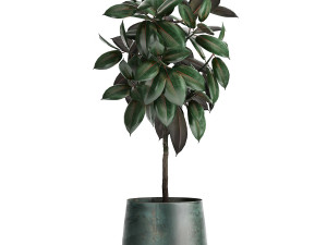 houseplants in a flowerpot for the interior 942 3D Модель