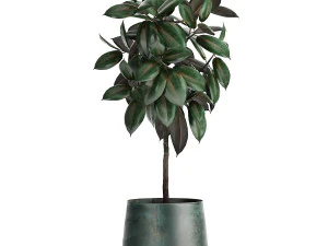 houseplants in a flowerpot for the interior 942 3D Model