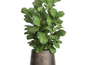 houseplants in a flowerpot for the interior 942 3D Model