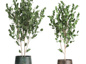 houseplants in a flowerpot for the interior 942 3D Model